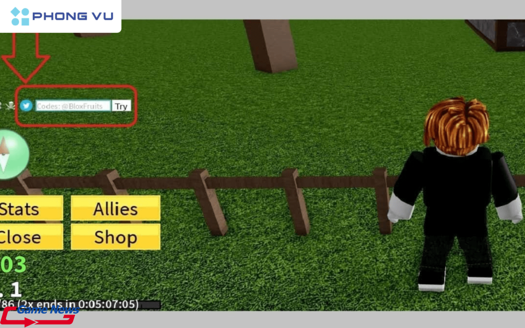 Nhập mã code còn hạn vào ô màu trắng