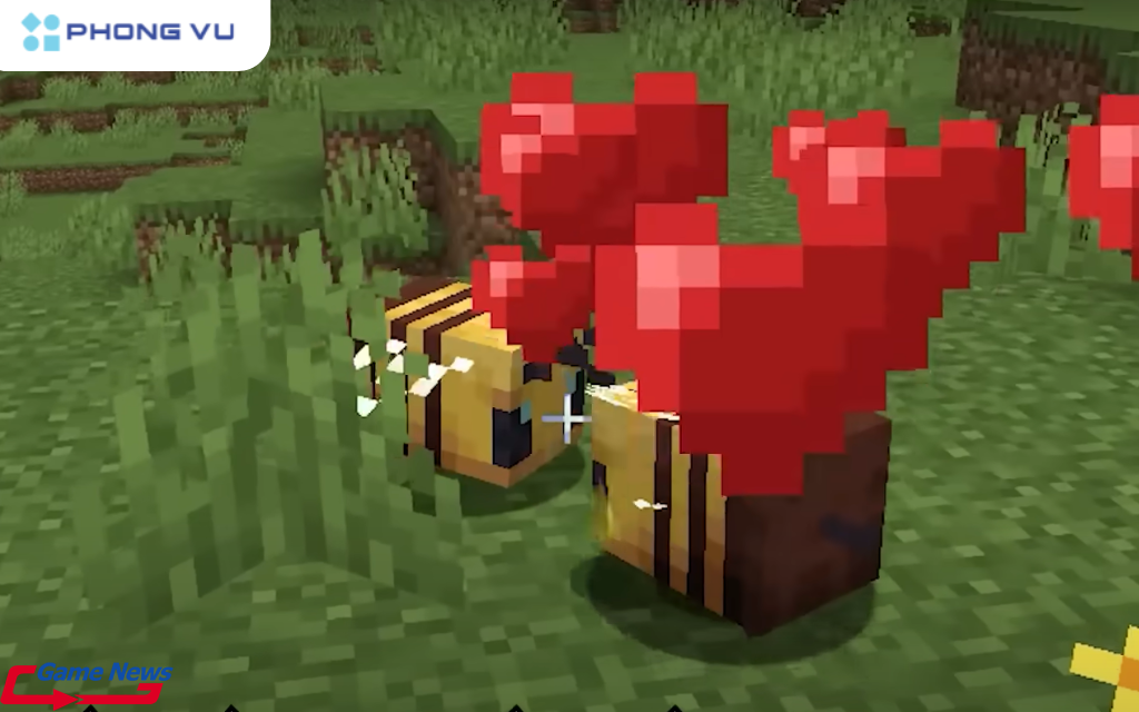 Bạn có thể sử dụng hoa Wither Rose để lai tạo ong mà không gây hại cho chúng