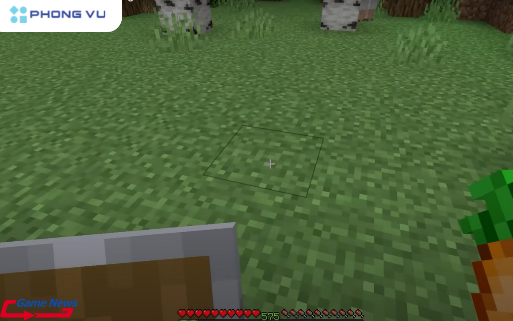 Nếu bạn cầm khiêng và một loại thức ăn như cà rốt, khi nhấn chuột phải, game sẽ tưởng bạn đang cố trồng cây mới