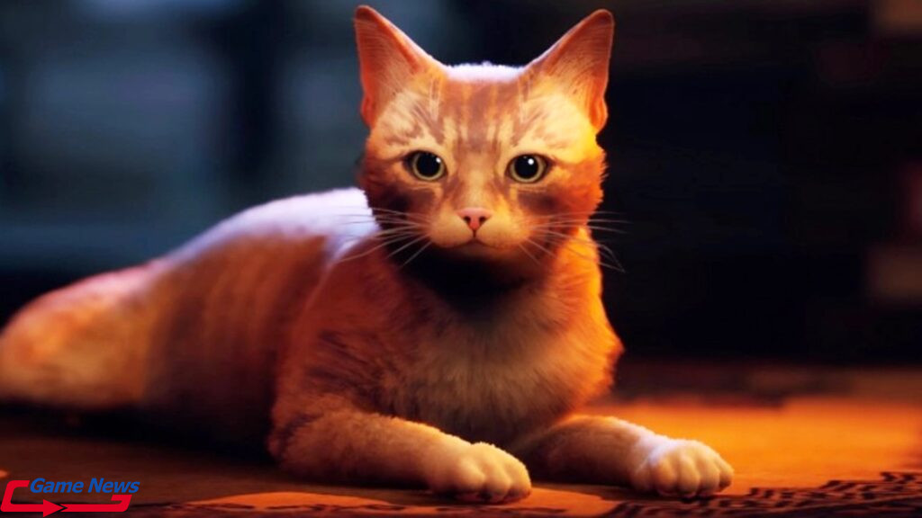 Game Stray hóa thân thành mèo